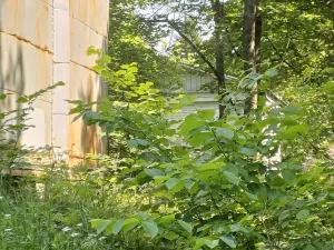 Павильон зенит-телескопа Г.А. Фрейберга-Кондратьева (ЗТФ-135)