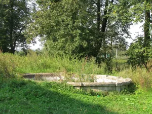 Парк (Пущино)