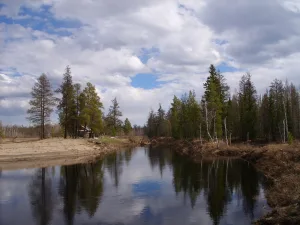 Кенкеме