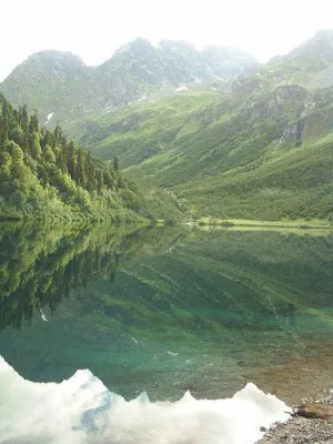 Кардывач