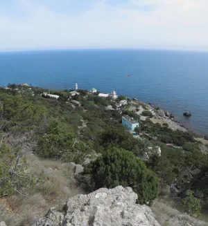 Сарыч