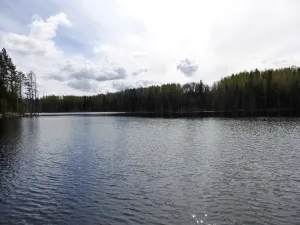 Родинъярви