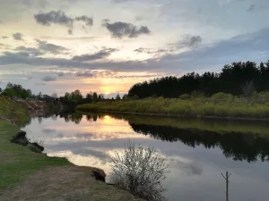 Солотча