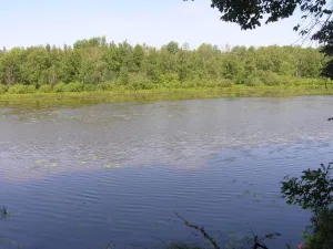 Нургуш (заповедник)