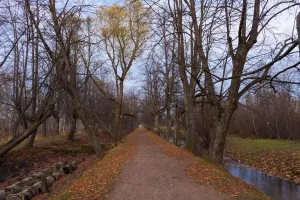 Самсоновский и Нептуновский водоводы (с Самсоновским бульваром, двумя переливными плотинами, мостами) и Ольгинский канал - 1 участок (Петергоф)