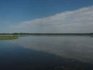 Яссы
