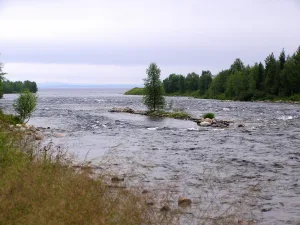 Пиренга