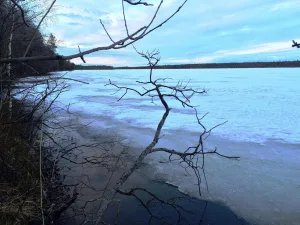 Лебедево (озеро)