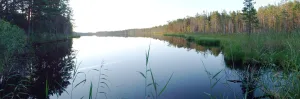Лигоярви