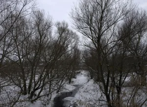 Тавла