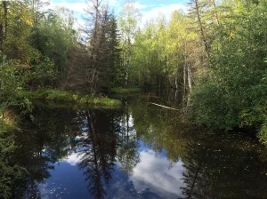Кильбо