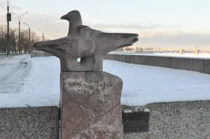 Чайки Петербурга
