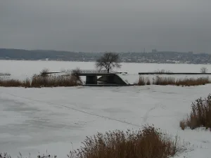 Песчанка