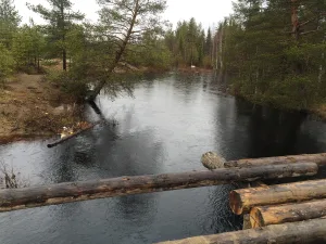 Кожала