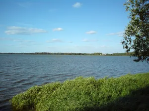 Белое озеро (Рязанская область, южное)