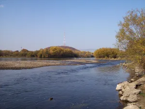 Бира