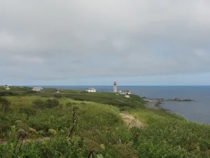 Мыс Золотой