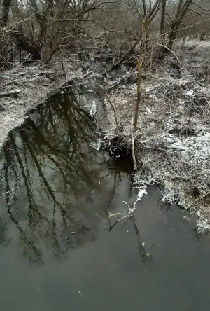 Становая Ряса