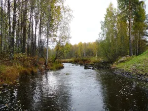 Святрека