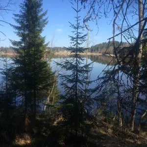 Аласъярви