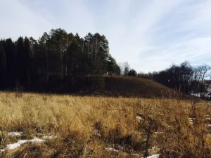 Городище «Ичское» (Алтухово)