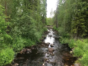 Тянукса