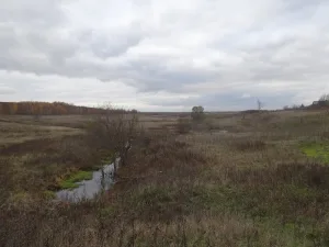 Шухомка