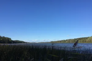 Вейяланъярви