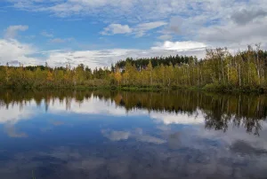 Моховое озеро