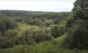 Луковня (городище)