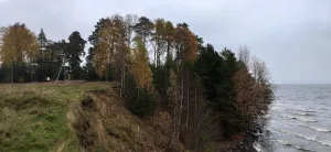 Культовая роща (Каскесручей)