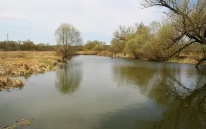 Котёл (приток Оскола)