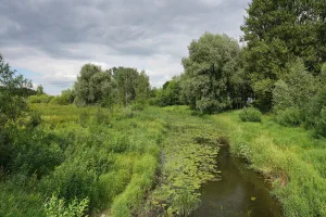 Мирожка