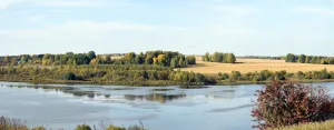 Большая Кумёна