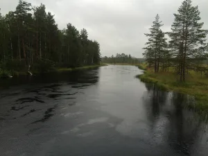 Хейняйоки