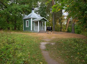 Часовня у Казанского скита (часовня Явления Божией Матери) (о. Коневец)