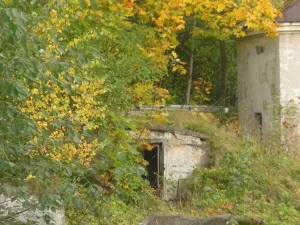 Ледник (Зеленогорск)