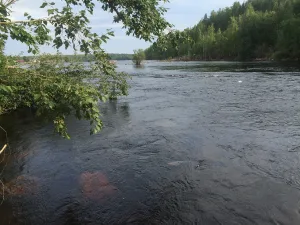 Заводская