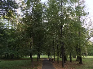 Парк (Подольск)