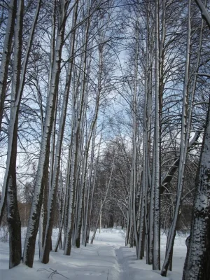 Усадьба «Заверяжье» (Борки)