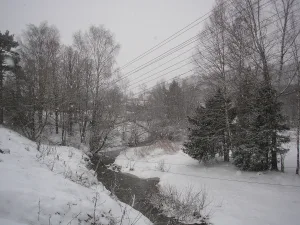 Разварня