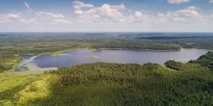 Ситно (озеро, Новгородская область)