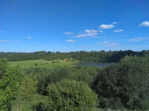 Томна