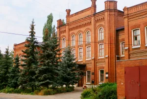 Здание гимназии (Государственный Педагогический институт) (Елец)