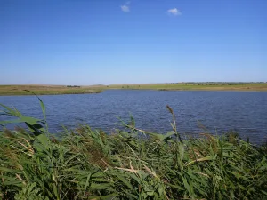 Чурбашская балка