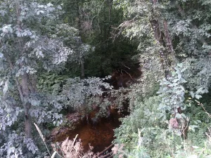 Вожерокса