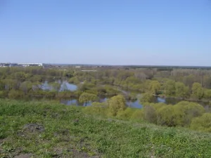 Болва