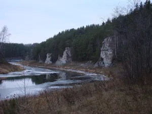 Нейва