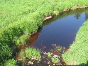 Лустовка