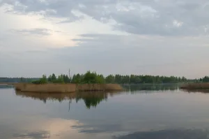 Торфянка